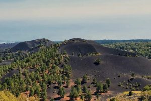 Tour dell'Etna e degustazione