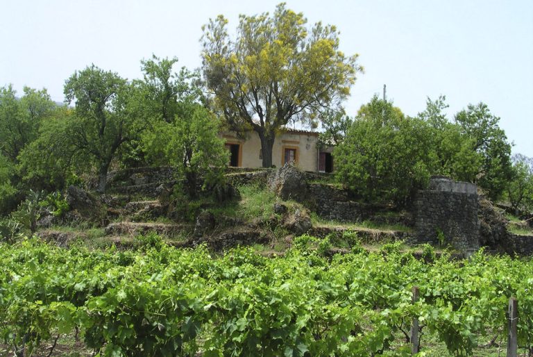 caciorgna 02 768x514
