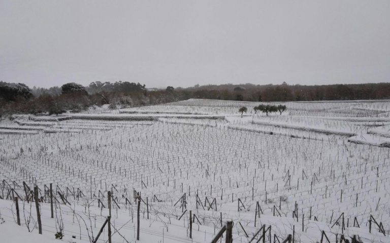 10 Tenuta Tascante 768x480