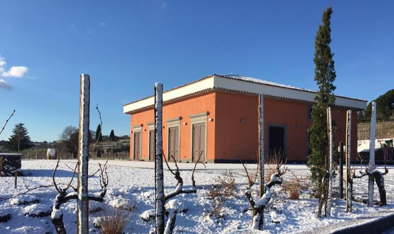 costantino 04 768x456