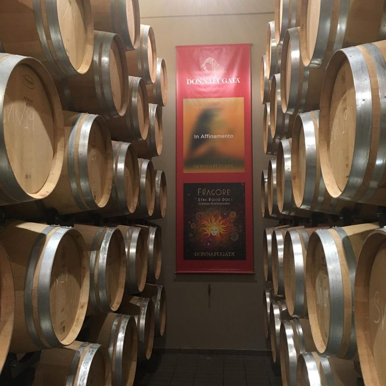 donnafugata 02 1 768x768
