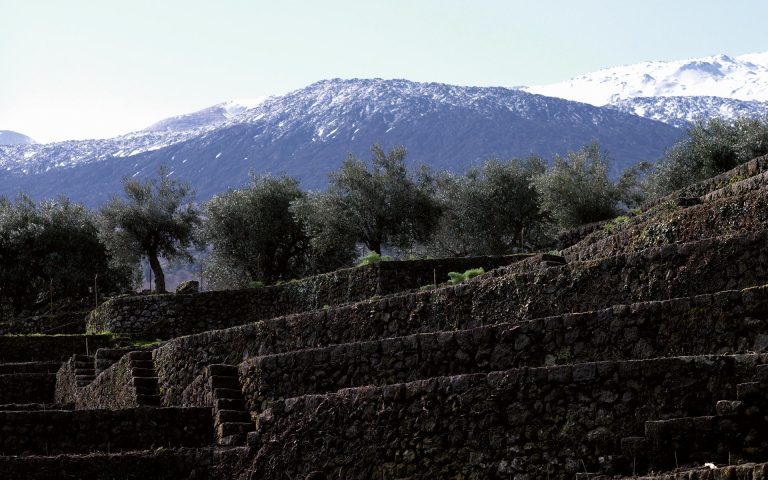 3 Tenuta Tascante 768x480