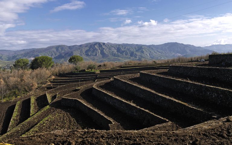 6 Tenuta Tascante 768x480