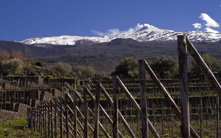 7 Tenuta Tascante 768x480