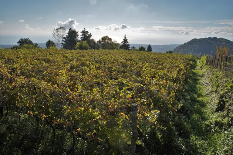 Eudes 04 768x512