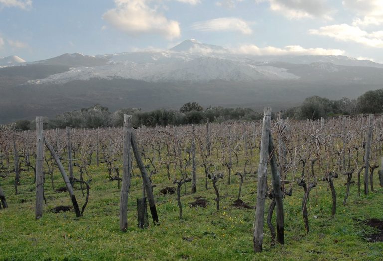 calcagno 04 1 768x524