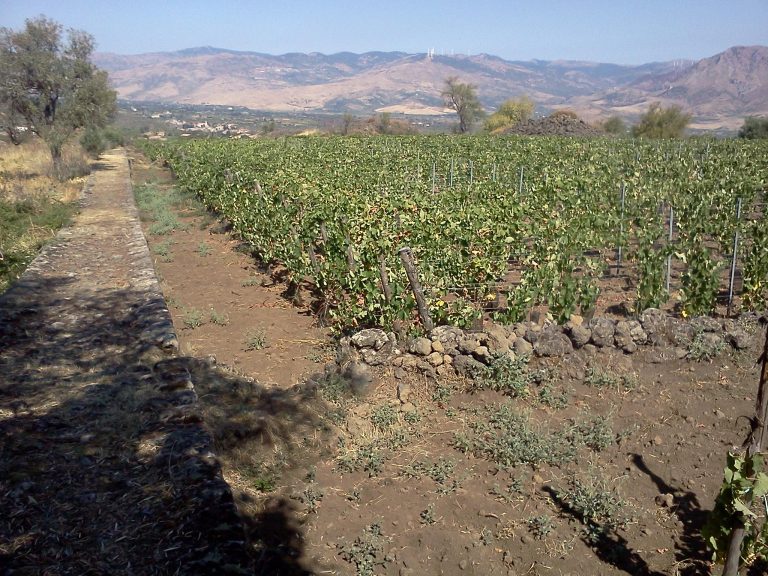 montedolce 04 1 768x576