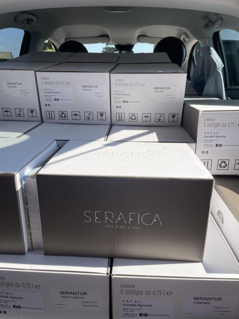 serafica 01 768x1026
