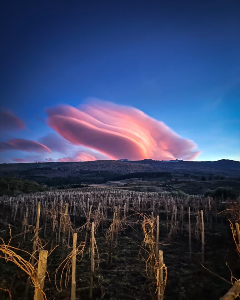 Costanzo 06 1 768x960