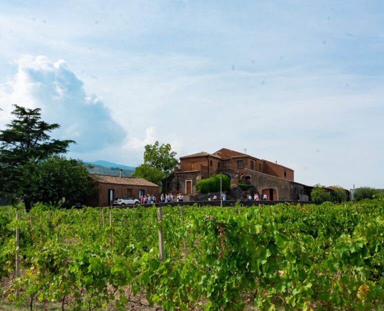scilio 02 1 768x623