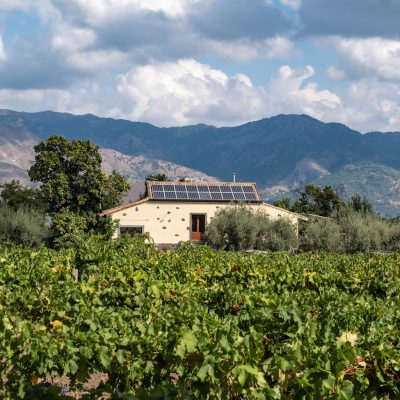 Azienda Vinicola Irene Badalà