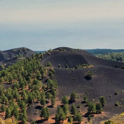 Tour dell'Etna e degustazione